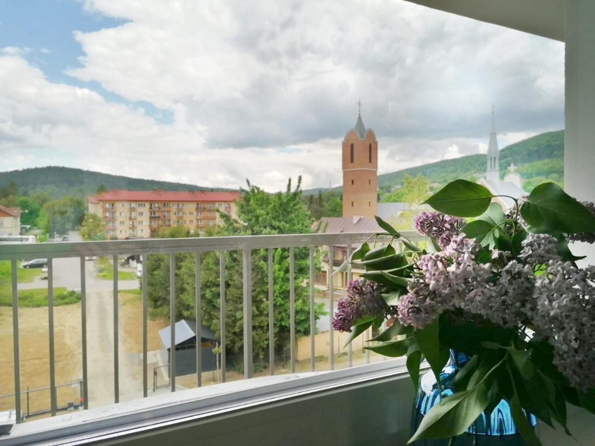 Apartament Gromadzyn 39 Ustrzyki Dolne Exterior foto